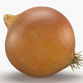 whole onion