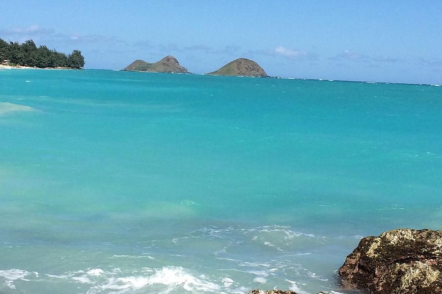 Bellows Field Beach Park camping