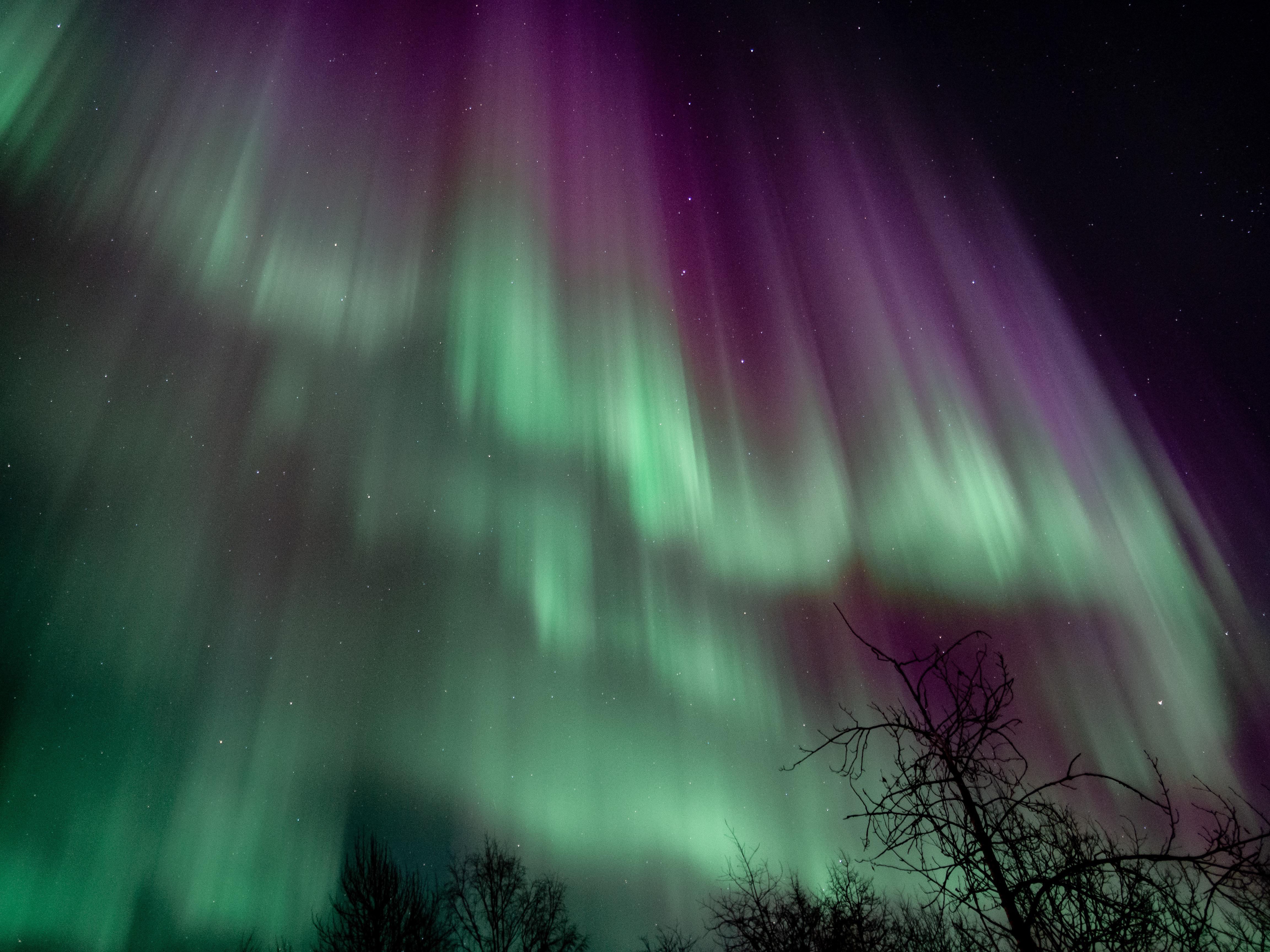 Ester Dome Northern Lights