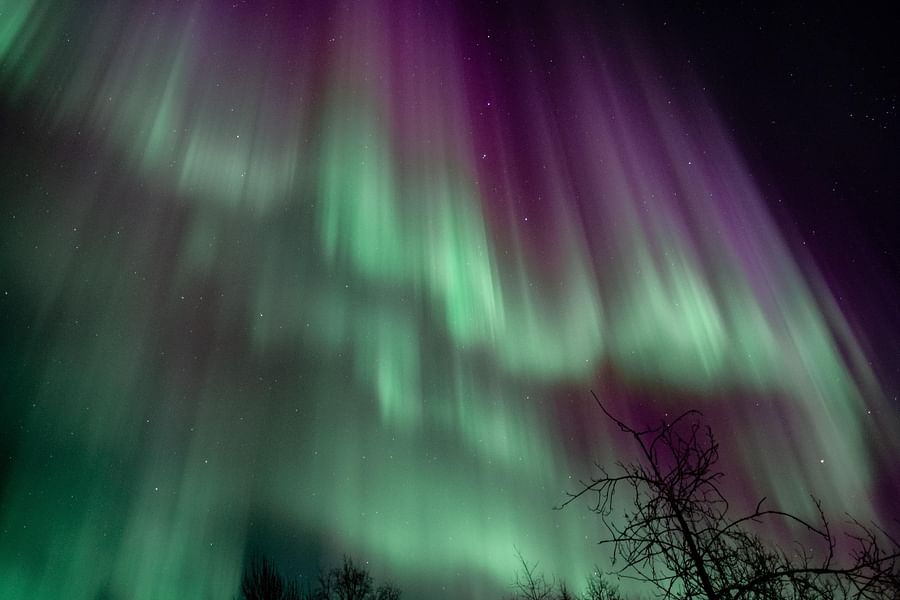 Ester Dome Northern Lights