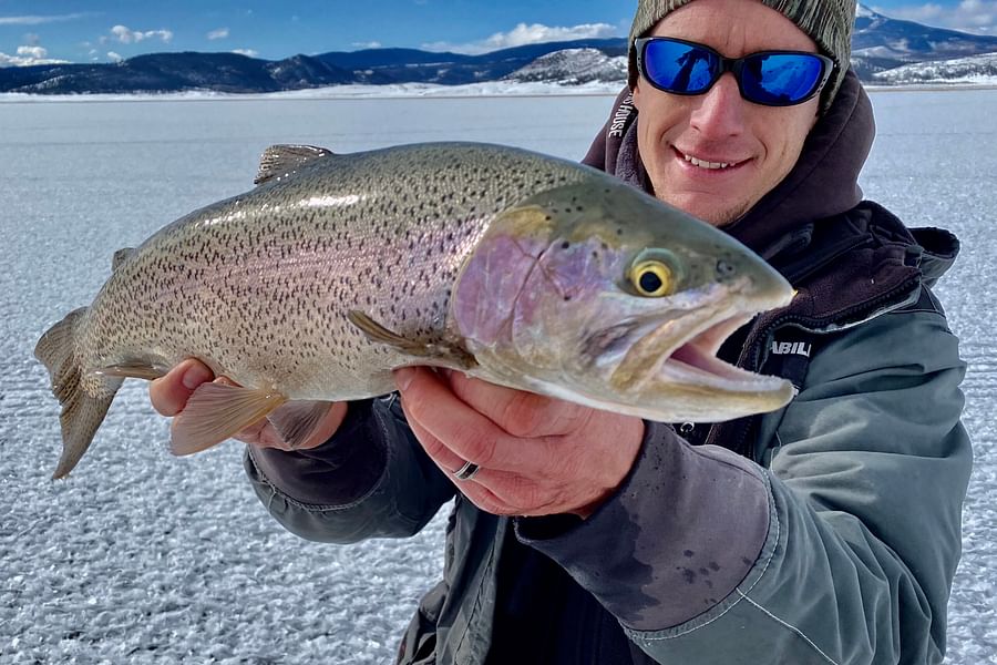 Rainbow Trout in Lake San Cristobal