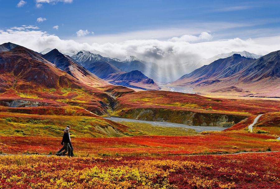 Stunning view of Alaska\'s scenic landscape with snow-capped mountains and lush greenery