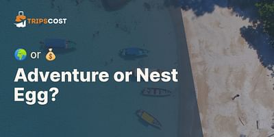 Adventure or Nest Egg? - 🌍 or 💰