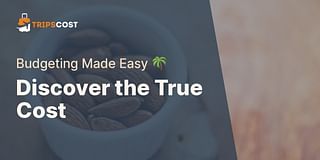 Discover the True Cost - Budgeting Made Easy 🌴