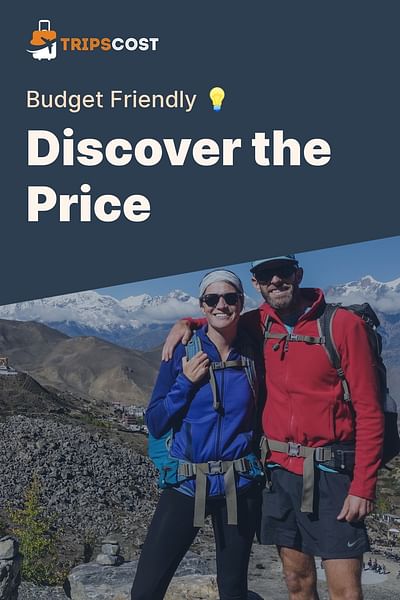 Discover the Price - Budget Friendly 💡
